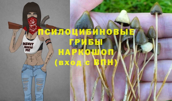 MESCALINE Баксан