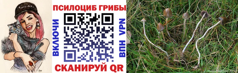 Псилоцибиновые грибы Magic Shrooms Нововоронеж