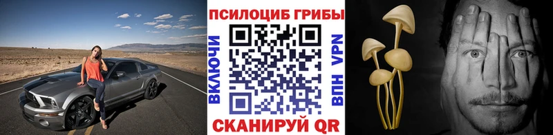 Псилоцибиновые грибы мухоморы  Купить где  Нововоронеж 